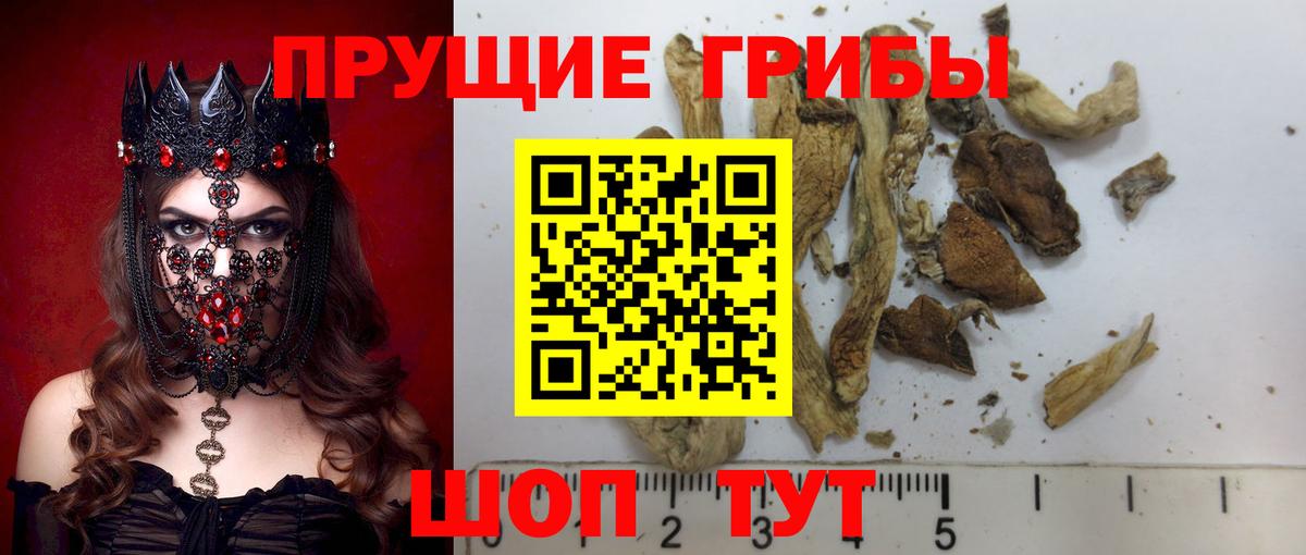 дарнет шоп  Вход с VPN  Лянтор  Галлюциногенные грибы MAGIC MUSHROOMS 